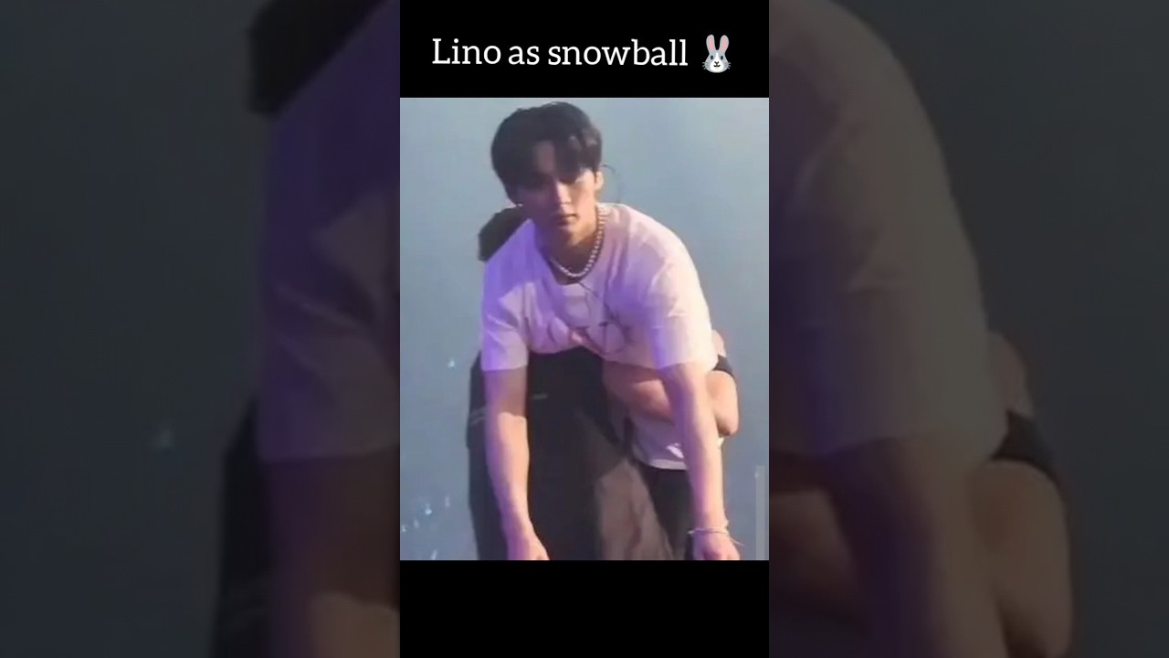 lino as snowball 🐰