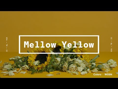 Coloro x WGSN key colors 2020: Mellow Yellow