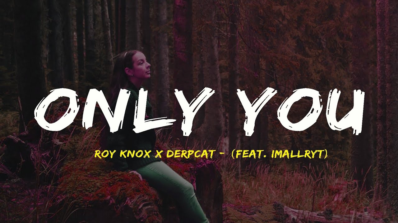ROY KNOX x Derpcat - Only You  ft. Imallyrt (lyrics video)