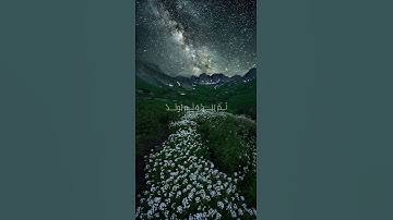 سورة الإخلاص للقارئ ماهر المعيقلي #quran #ماهر_المعيقلي #سورة_الإخلاص