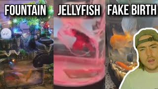 These &quot;Fish Pranks&quot; are just ANIMAL ABUSE