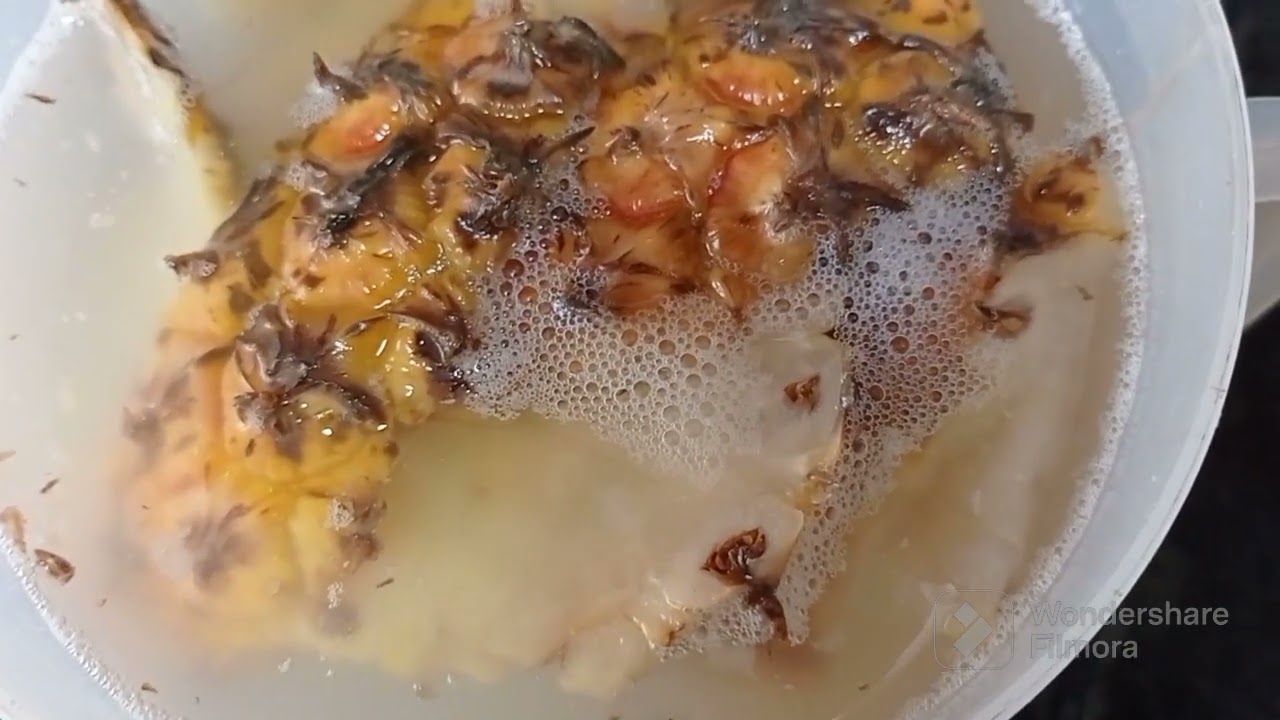 #🥰REFRIGERANTE CASEIRO😋 DE ABACAXI🍍