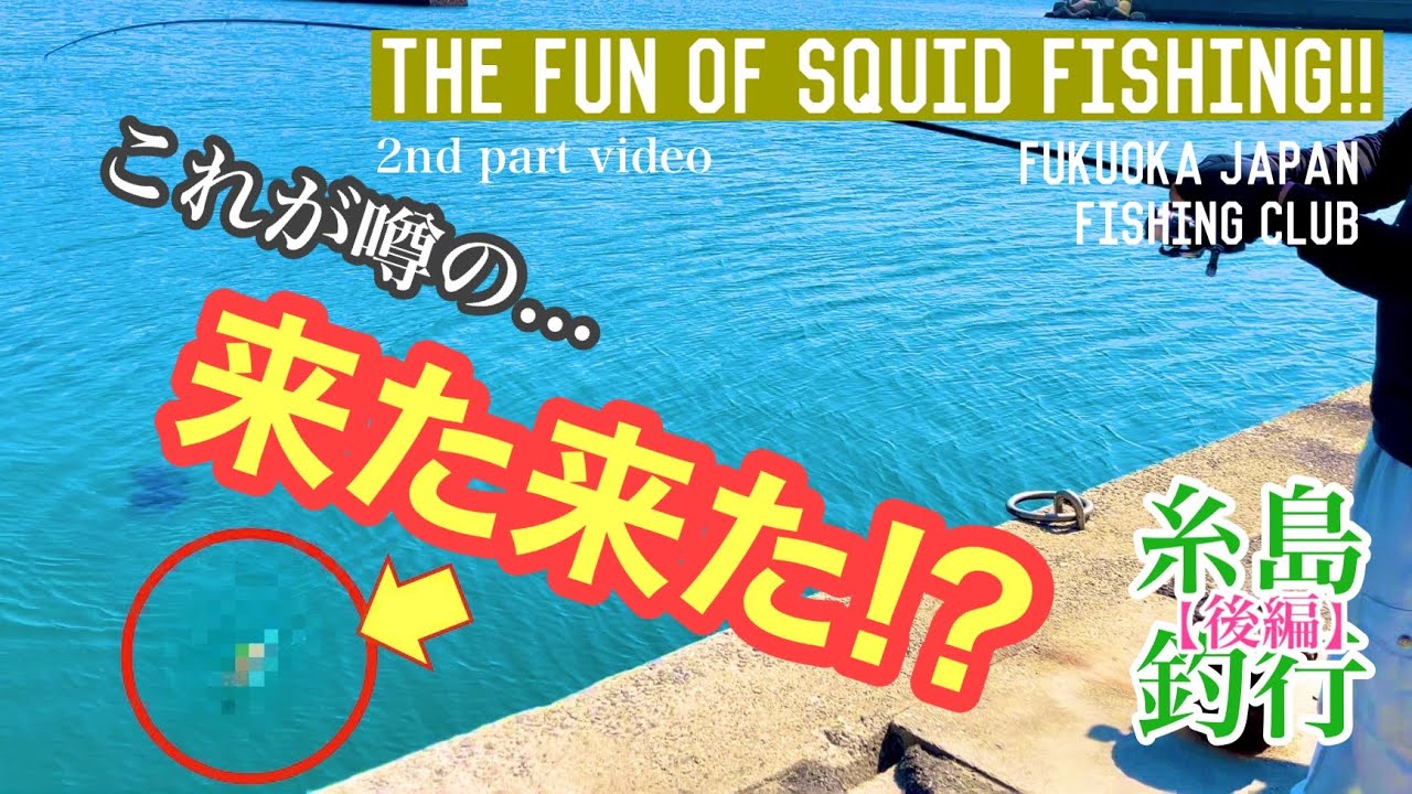 【福岡釣部 in 野北漁港でアオリイカ】104後編 2nd English.中文 釣りの季節到来！福岡・糸島で釣りを楽しむ♪福岡釣部Fukuoka Japan Fishing Club in 野北漁港