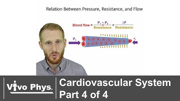 Cardiovascular System Part 4 of 4 - Blood Flow