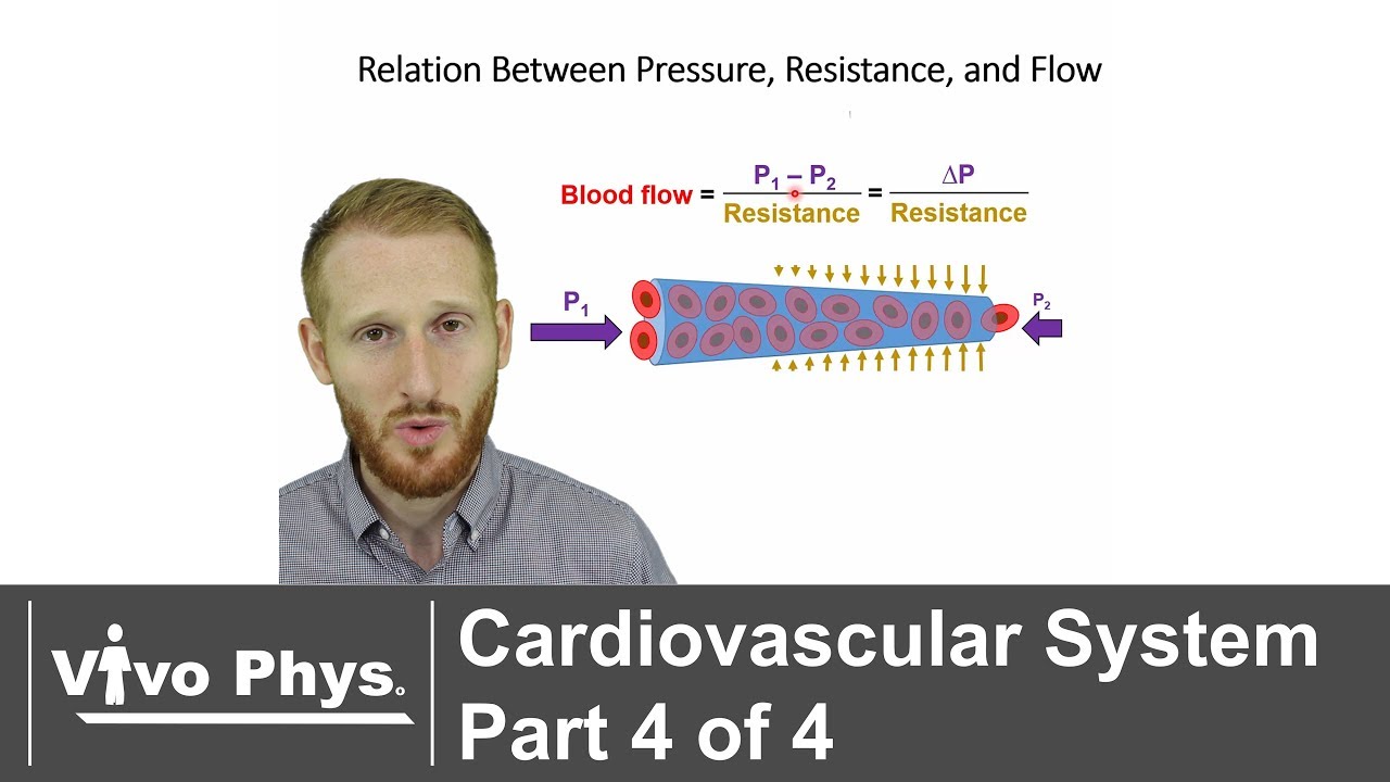 Cardiovascular System Part 4 of 4 - Blood Flow - YouTube