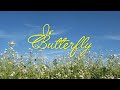 Armor  butterfly ftjh4y lyrics visualizer