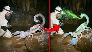 Famous Scientist Messed With The Wrong Creature And What Happened Next Was Even Worse! Net Worth