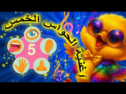 أغنية الحواس الخمسة      