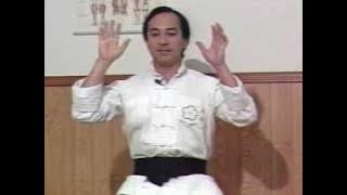 Wu Mei and other Internal Styles