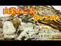 【山菜おこわ】スーパーでてがるに手に入る山菜の水煮を使って作りました