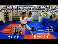 伝統型のプロに【三戦・十八手】習ったら全然レベルが違った