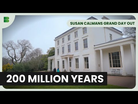 Finding 200 Million Year Old Fossils in Devon | Susan Calmans Grand Day Out