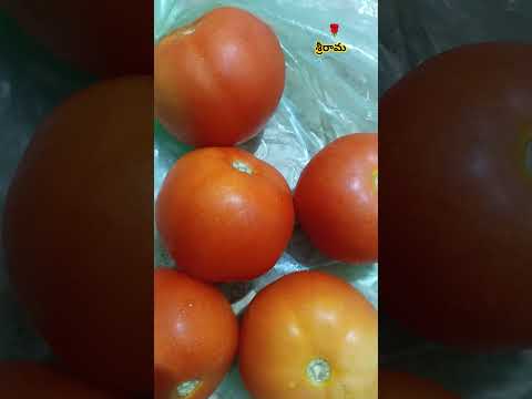 టమ ట ల ఆర గ య న క 