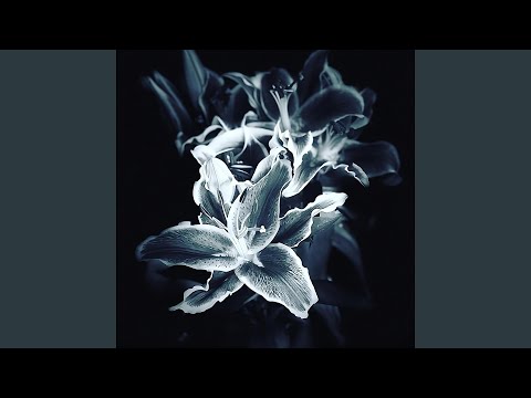 Fuera Del Planeta (Instrumental)