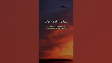 إنا لننصر رسلنا والذين آمنوا | القارىء بكر عوض الكثيري | حالات واتس اب دينية قصيرة قران كريم