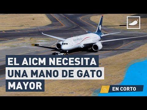 El Aeropuerto Internacional de la Ciudad de México (AICM) necesita una mano de gato mayor.