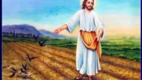 Chúa Nhật Tuần XI Thường Niên - Năm B