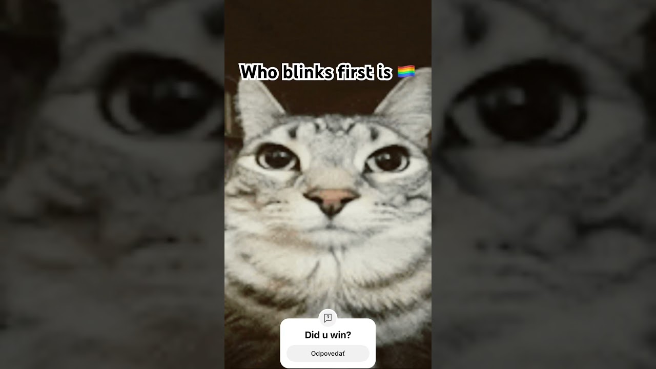 Who blinks first is 🏳️‍🌈 