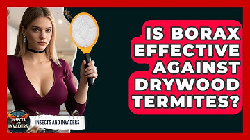 Is Borax Effective Against Drywood Termites? - Insects and Invaders