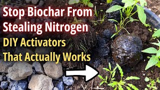 Activate Your Biochar With This 2-Ingredient Hack (Soil Microbes Go CRAZY)