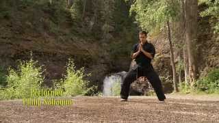 Kenpo Karate - Long Form 2