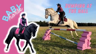 Jumping in the field- young horse Donny’s first jumping session 💘