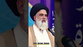 Download Lagu Birthday Manana Kaisa Hai | Ustad Syed Jawad Naqvi #birthday #shiajafferyshorts5 #shorts MP3