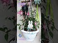 ~~~16.06.2026~~~ Сегодня на балконе 🥰🤩🥰~~~ Спасибо! ~это не ИИ 😂😅😂~~~@todorsalina2586
