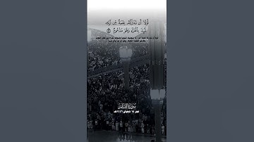 #عبدالله_القرافي #القرآن_الكريم #سورة_القلم #المسجد_النبوي #اكسبلور #المصحف