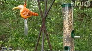 Lindy McGinnis: Central Texas Gardener