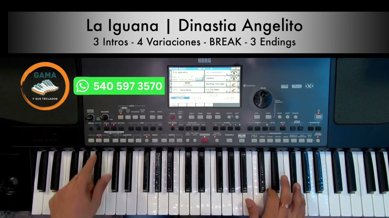 La Iguana | Dinastia Angelito | Ritmos Korg Pa