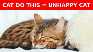 9 WARNING Signs Your Cat is UNHAPPY (DO NOT IGNORE)