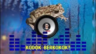 BOJAK BORTUNG REMIX || Cover || Paling kocak Jagat Raya