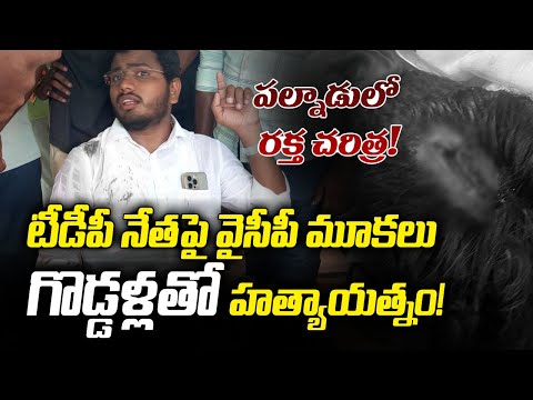 గొడ్డళ్లతో దాడి | YSRCP Goons Attack on TDP Baji Chaudhary | AP News | YSRCP | TV5 News - TV5NEWS