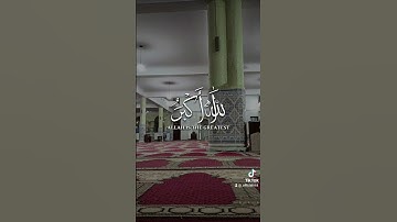 شارك القرآن الكريم لتنال الاجر العظيم فالدال على الخير كفاعله 🙏وتابعنا لنستمر على نشر القرآن الكريم