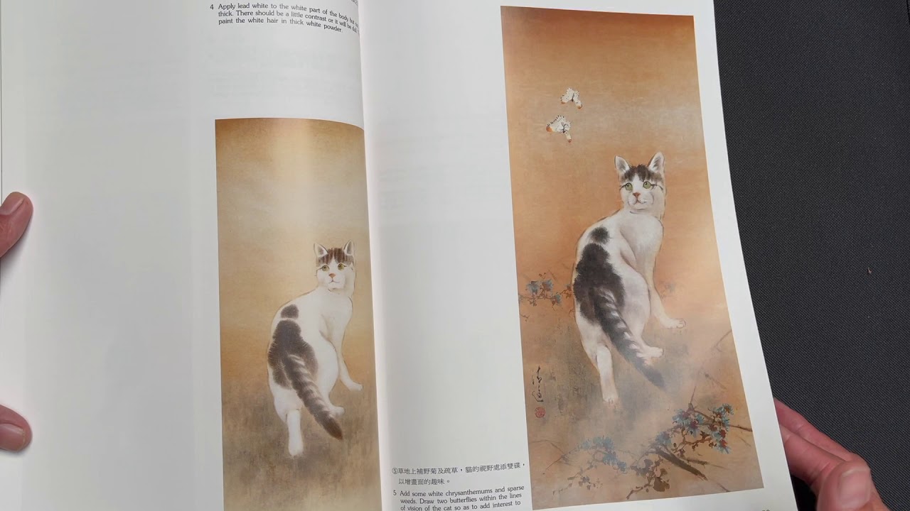 To Paint in Ling-nan Style 3: Landscape, Animals, Figure Video