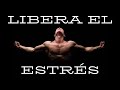 Relaja Tu Cuerpo Y Mente Con Éstos 5 Sencillos Ejercicios 🧘🏼‍♂️