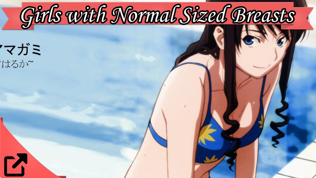 Top 10 Anime Girls with Normal Sized Breasts 