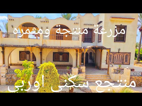 مزرعه للبيع مثمره مانجو وعنب اصناف منتجع سكنى للمالك طريق مصر اسكندريه الصحراوي المساحه ٨٥ فدان