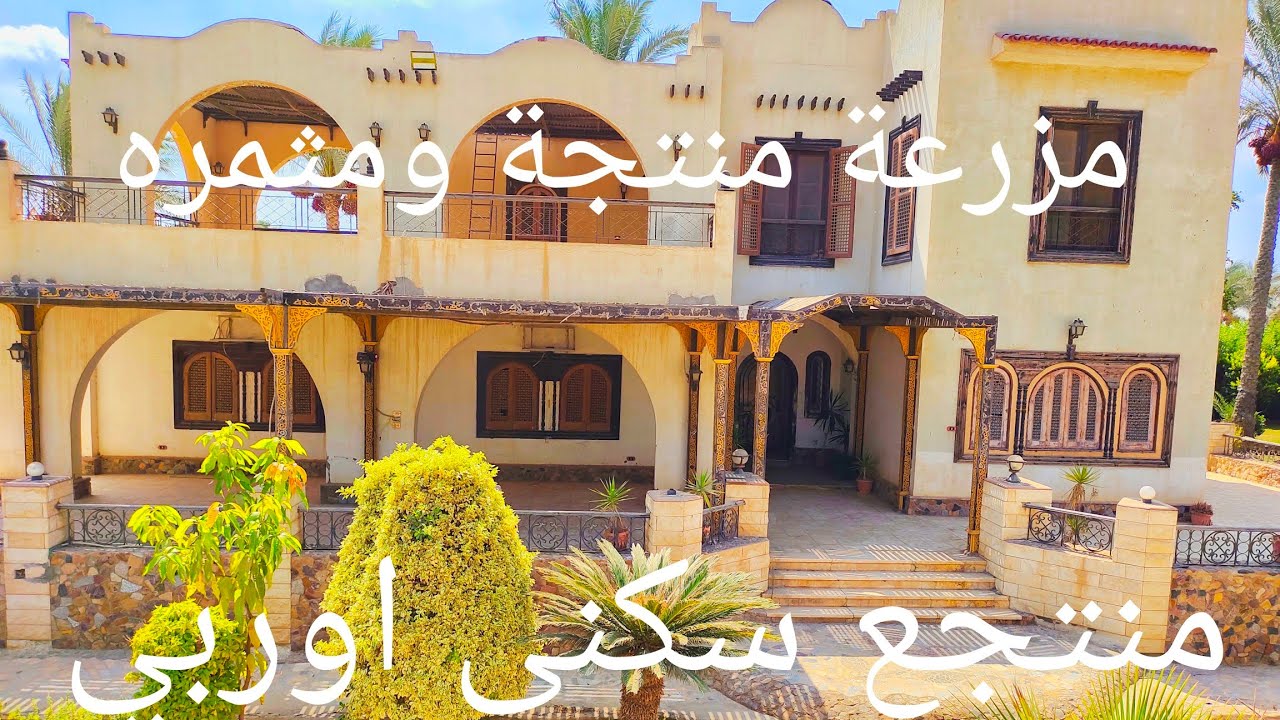 مزرعه للبيع مثمره مانجو وعنب اصناف + منتجع سكنى للمالك طريق مصر اسكندريه الصحراوي المساحه ٨٥ فدان