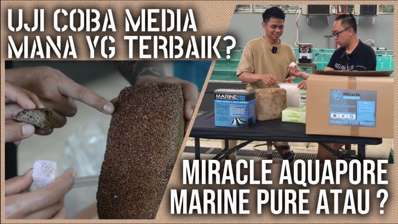 Media Filter Biologis Terbaik | Perbandingan Marine Pure, Miracle Aquapore @onelitokoi