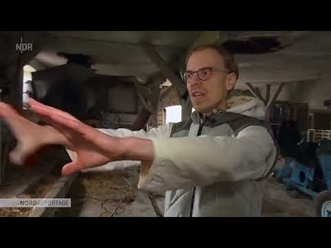 YTK - Unternehmer Marco hat Cock-Bock und braucht einen Verwaltungslotsen