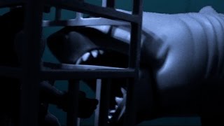 Jaws "Hooper In The Cage" Reenactment