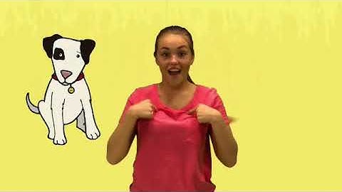 Song Unit 5: I take Harry to the vet.