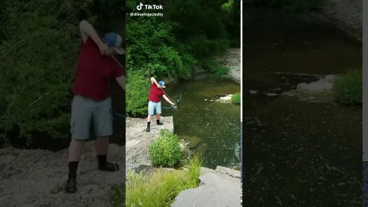 fish with arrow and bow, Fisch mit Pfeil und Bogen YouTube