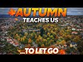 Autumn isn’t the end… it’s a reminder that letting go is beautiful 🍁✨ #youtube #nature #travel