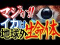 日本人大丈夫？イカは宇宙人の○○だった！謎多きイカの生体！眠っている遺伝子が多すぎる！【ぞくぞく】【ゾクゾク】【衝撃】【都市伝説】【祝令和元年】