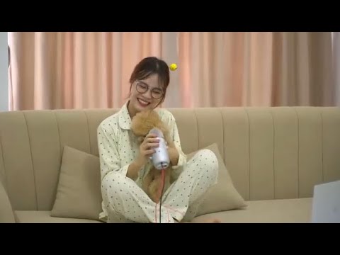 Asmr tapping around my house | CHAN ASMR
