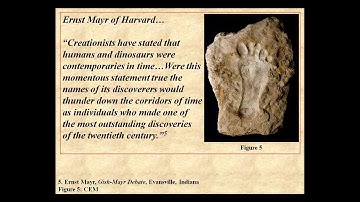 Creation Has Answers 2016 Series - Geologic Column: Charlie Moss