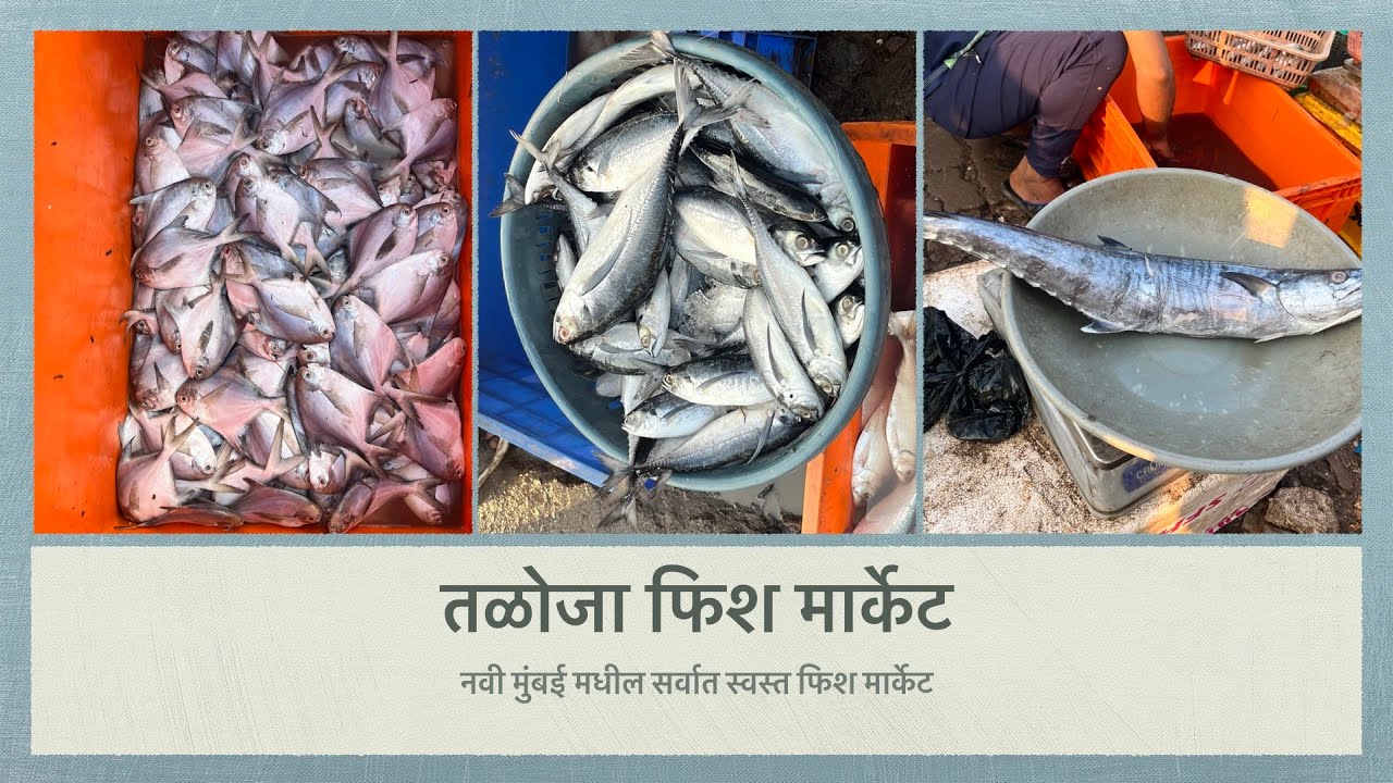 तळोजा फिश मार्केट इथे मिळतात नवी मुंबई मधील सर्वात स्वस्त मासे